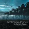 Nature Collection - Sentimental Journey in the Calm Forest: Contemporary Music for Relaxation, New Age Spa Sounds, Anti Stress Nature Scenes of Australia